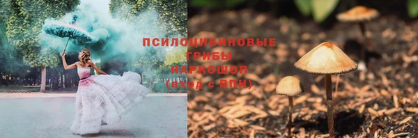 ешки Пересвет