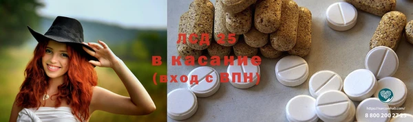 PSILOCYBIN Абдулино