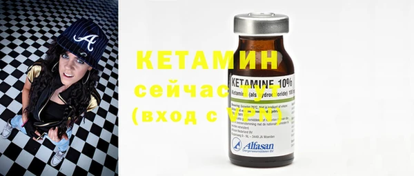 шишки Билибино