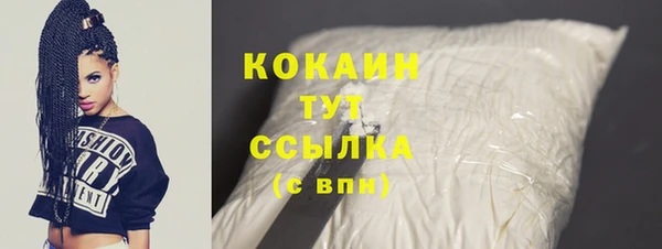 ешки Пересвет