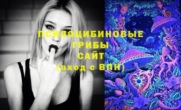 PSILOCYBIN Абдулино