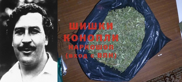 ешки Пересвет