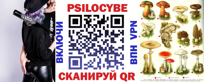 дарк нет наркотические препараты закладка Почеп Галлюциногенные грибы мицелий